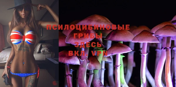 прущие грибы Волоколамск