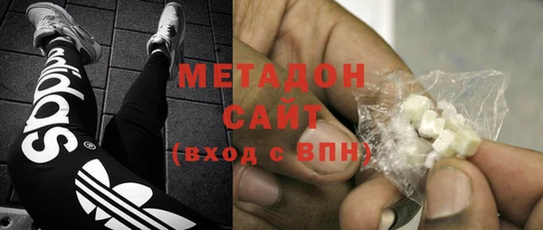 прущие грибы Волоколамск
