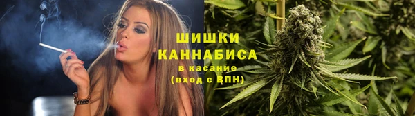 прущие грибы Волоколамск