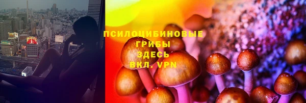 ПСИЛОЦИБИНОВЫЕ ГРИБЫ Волосово
