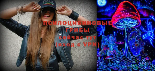 ПСИЛОЦИБИНОВЫЕ ГРИБЫ Волосово