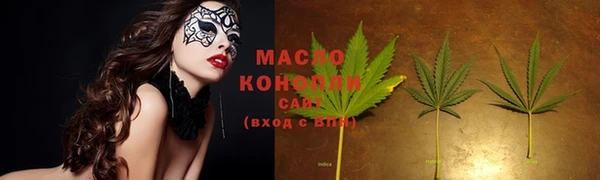 прущие грибы Волоколамск