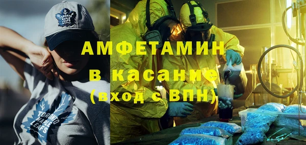 прущие грибы Волоколамск