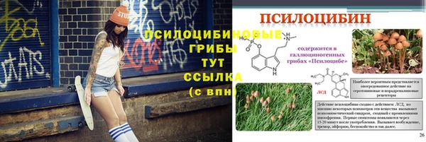 ПСИЛОЦИБИНОВЫЕ ГРИБЫ Волосово