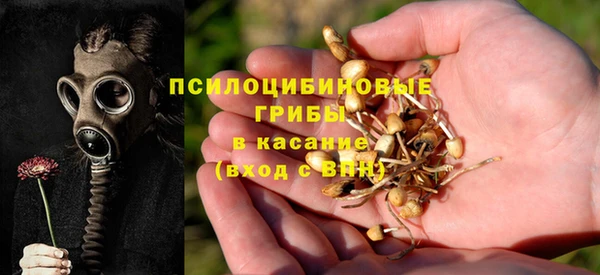 ПСИЛОЦИБИНОВЫЕ ГРИБЫ Волосово