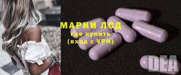 прущие грибы Волоколамск