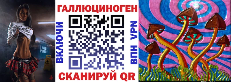 Купить где  Уфа  Галлюциногенные грибы Cubensis 